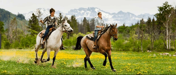 Confident plus-size woman riding Drumbrae a horse through a field with a smile on her face.